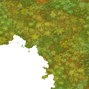 foret_moussarbr2 foret_moussarbr2