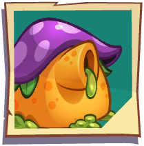Dangerine seed packet Dangerine seed packet