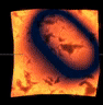 AHatIntime_lava_test(Material).gif