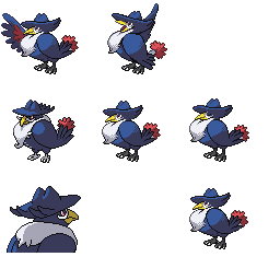 pmpl_494_frnt_m_r3001.png pmpl_494_frnt_m_r3001.png