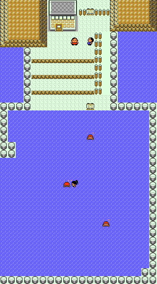 Pokemon_GS_Final_Route_19.png