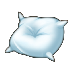 MSM_DOF_Pillow.png