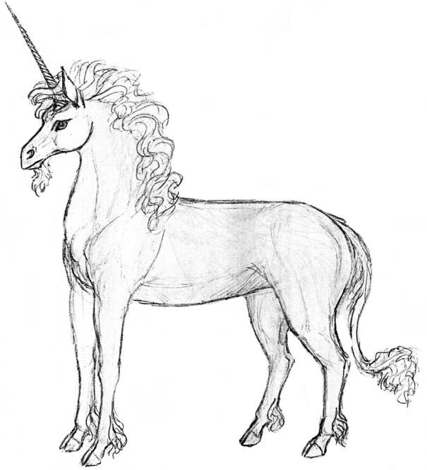 Unicorn
