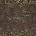 DungeonSiege-b_t_for02_pth_04x04-d.png