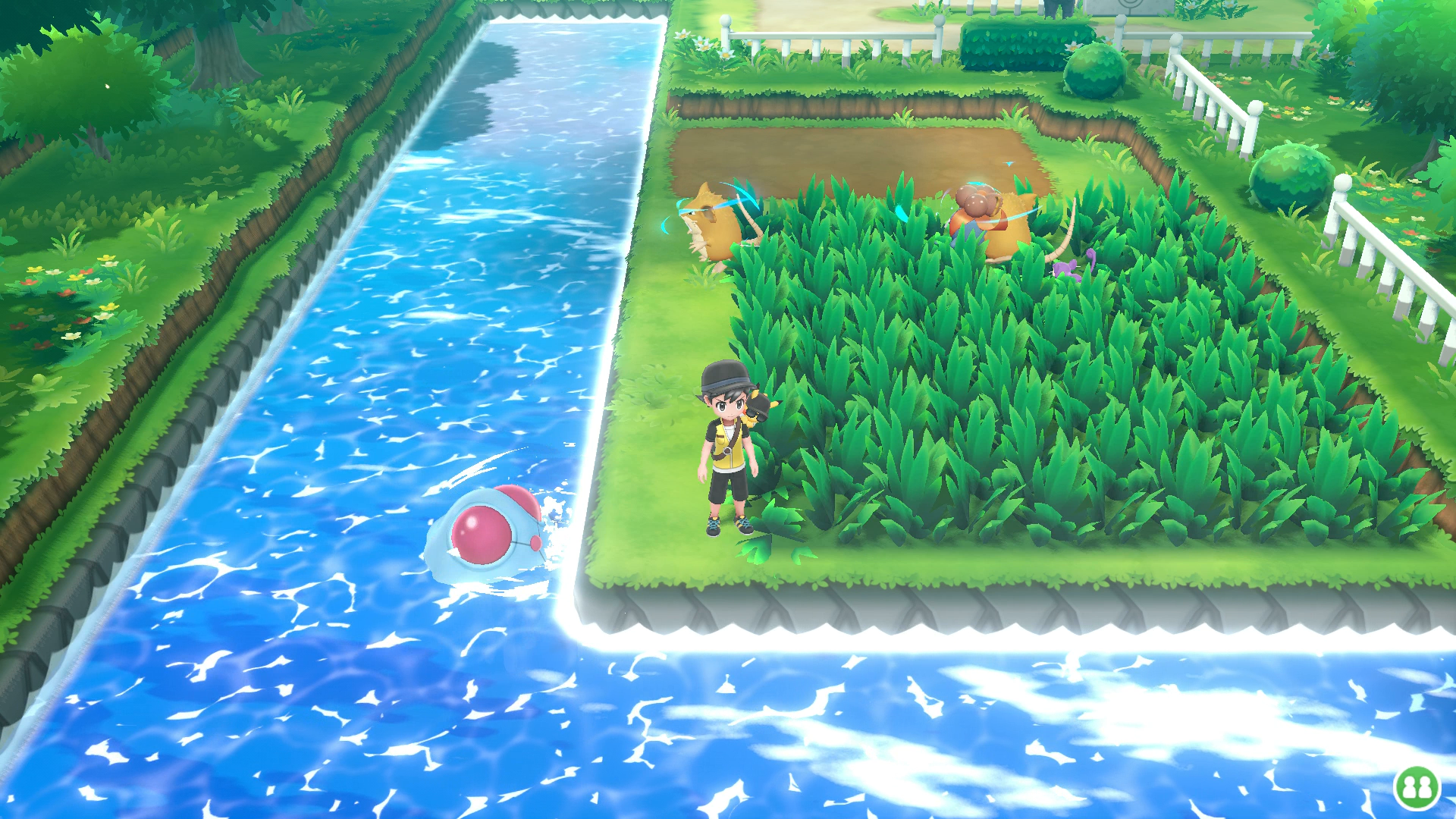 LGPEFinal2018Route21Grass.png