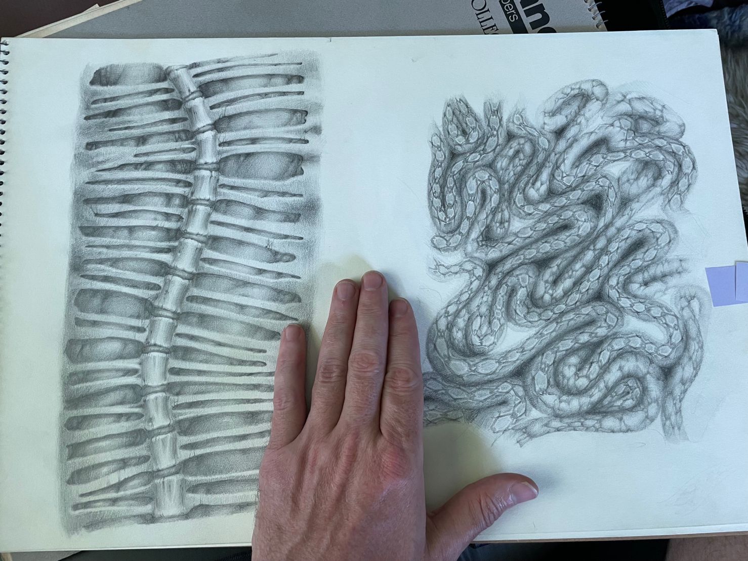 PreDoom-AdrianC_SpineAndSnakeWall_Sketches.jpg PreDoom-AdrianC_SpineAndSnakeWall_Sketches.jpg