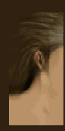 Hls_gina_olderside.png Hls_gina_olderside.png