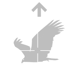 Scavenger Pro