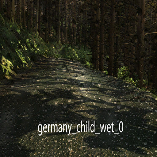 DiRTRally-germany_child_wet_0.png