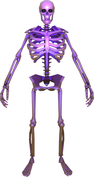 Purple skeleton. Purple skeleton.