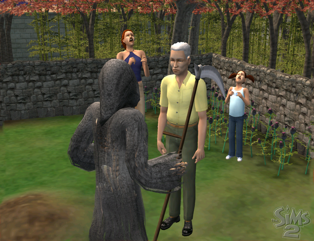 TS2_Jul_8_04_Image7.jpg