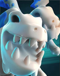 Clash_Royale_Skeleton_Dragons_Card_China.png
