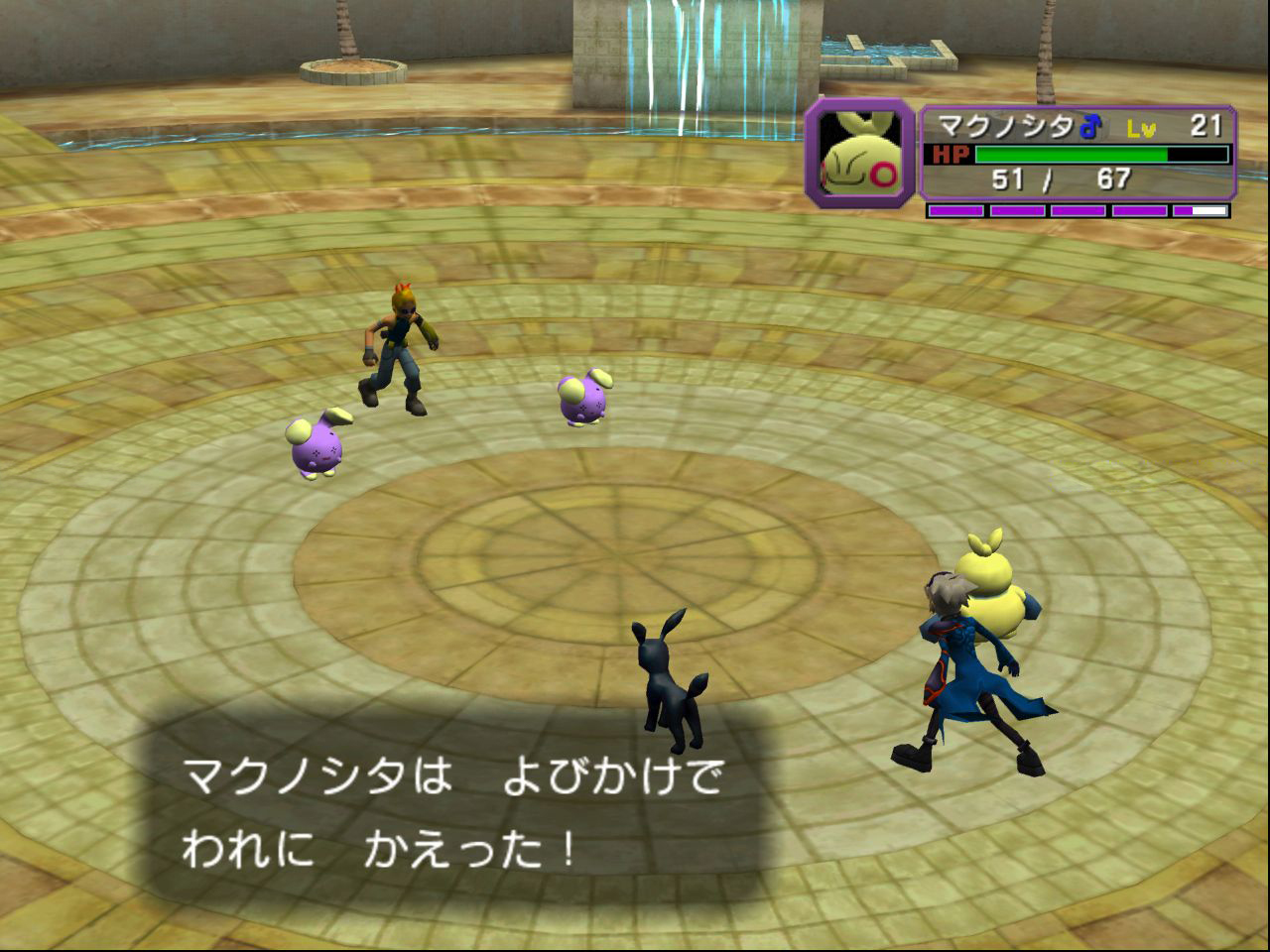 Pokemon_Colosseum_Beta_Battle_Wes_Folly_preview.jpg