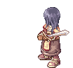 RO-unused-hairanimation-swordsman-v-attack2.gif