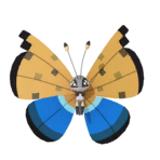 NPS_p034-2G.png