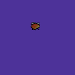 SMS_Kug_kug_dbk.gif