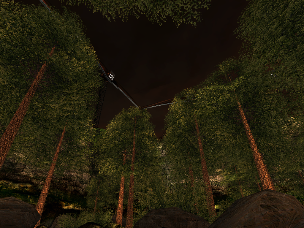 Lights above the forest. Lights above the forest.