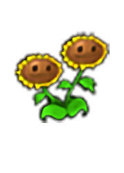 Twin Sunflower Twin Sunflower