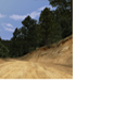 CMR04_ps2_demo_icons_usa_s6.png