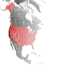 CMR04_ps2_demo_icons_usa_map.png