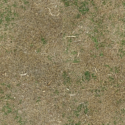 Half-Life_2-Lost_Coast-grassfloor003a.png