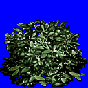CSDS-Recoil_scrub_02.png_‎