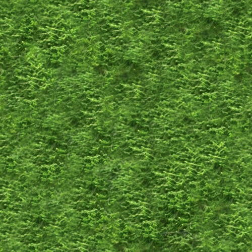 swamp5.jpg