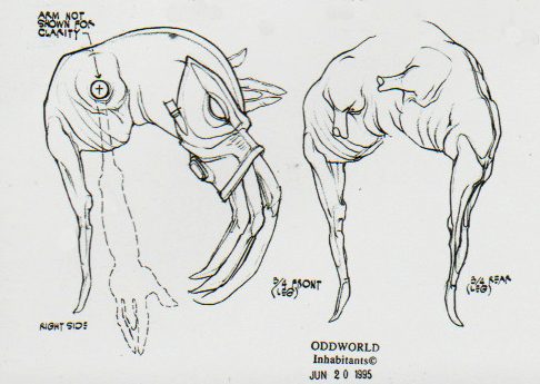 Slig anatomy drawings (right & back side)