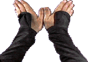 swjan95_2009.png swjan95_2009.png