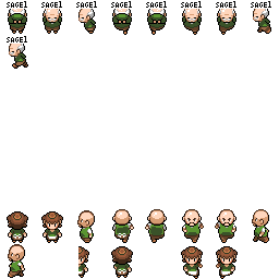 PokeBW_Overworld_sage1_r7342.png
