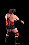 wwfwrestarc-A2LB2B.gif