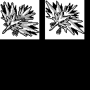 PM2F_145.CBB.w128.png