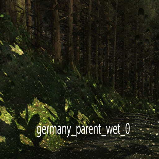 DiRTRally-germany_parent_wet_0.png