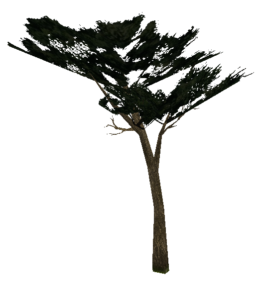tree_tree9.mdl tree_tree9.mdl