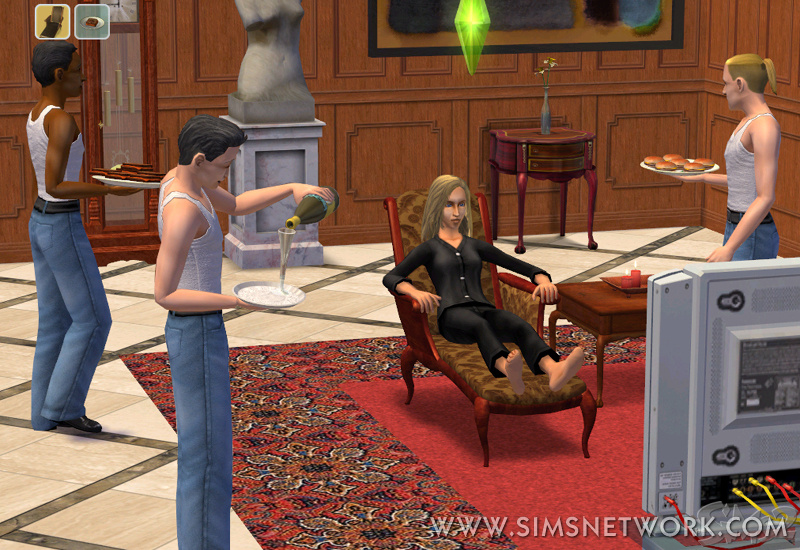Sims2_Feb04_Image10.jpg