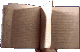 swjan95_2071.png