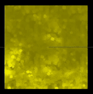 AHatIntime_WheatFloor(Material).gif