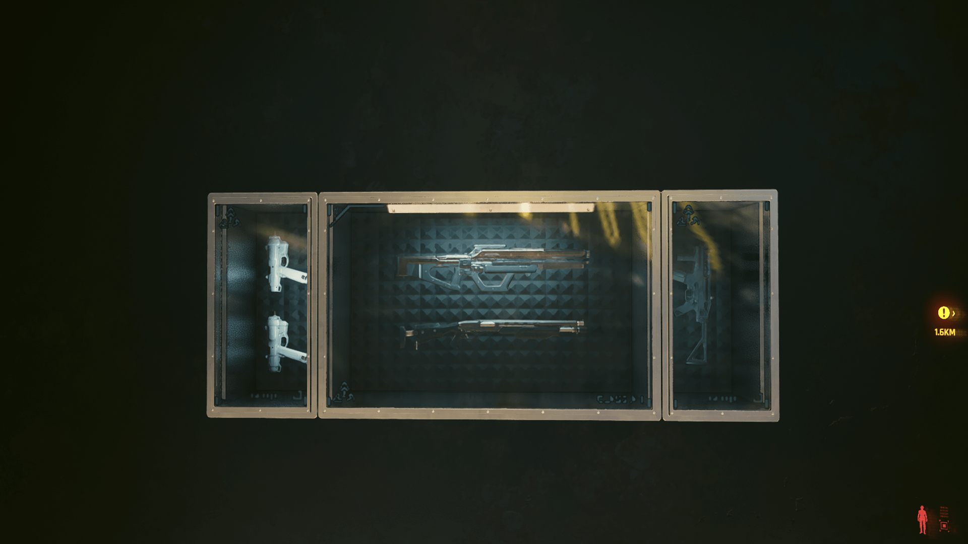 Display case containing various firearms Display case containing various firearms