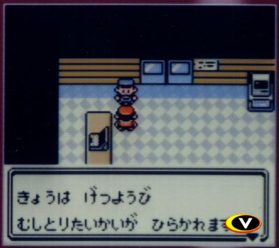 PKMN_GS_videogames.com_screenshot_6.jpg