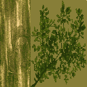 TFA2004_amazon2Level_BENTTREE_TEST.png