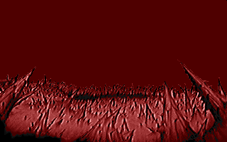 Whoop! Where did it go?!