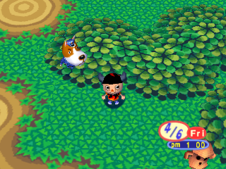 Animalforest_field3copper.png