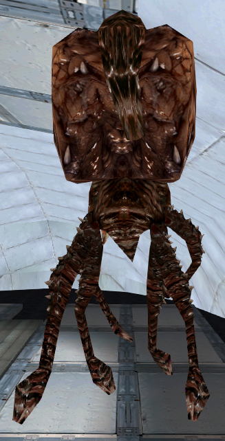 Rear view. Rear view.