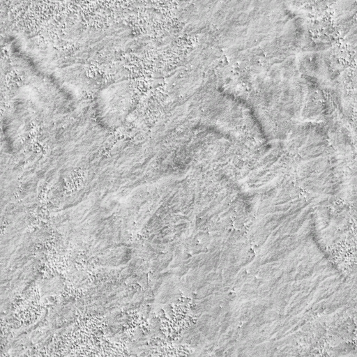Lbp3_r513946_zt_wet_stone_normal.tex.png