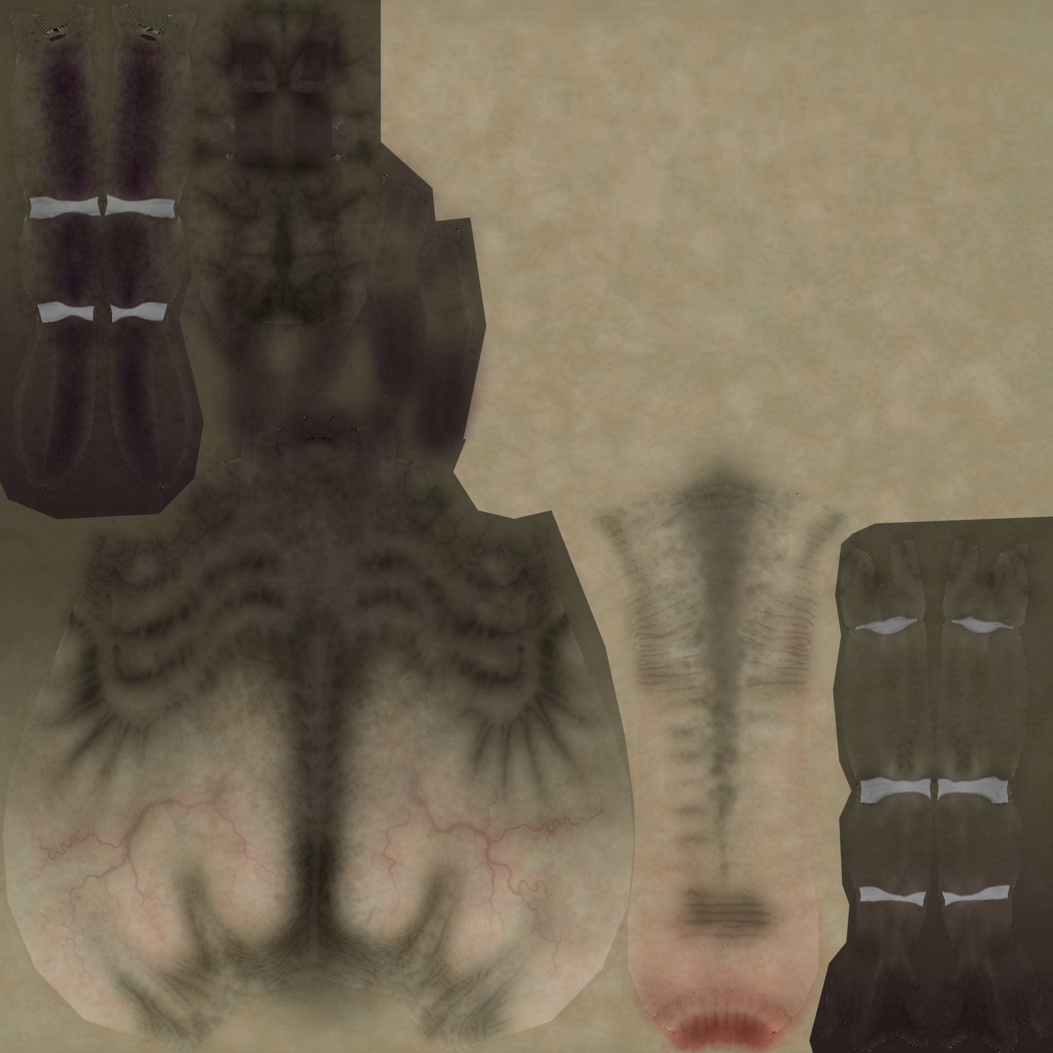 Texture sheet. Texture sheet.