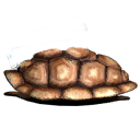 jw_tortoise_shell jw_tortoise_shell