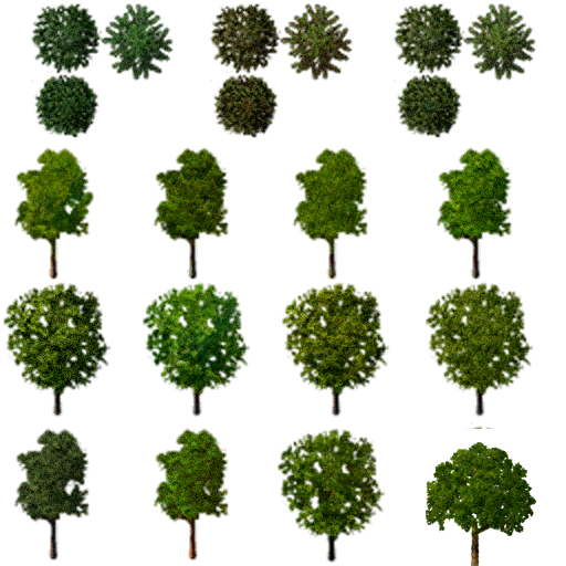 TS2_neighborhood-treeland0_lifo.png