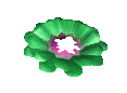 A green flower icon from the TIR minigame, broken.