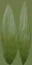 TFA2004_amazon2Level_BUSH_GROUND.png