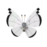 NPS_p034-OA.png